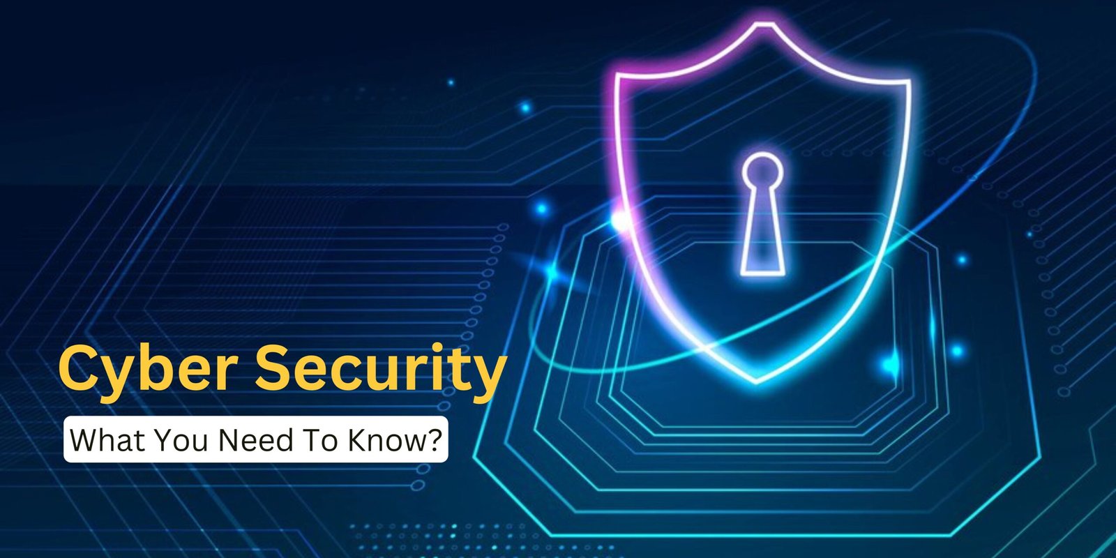 Cyber Security What You Need To Know