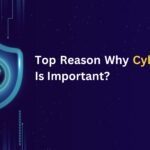 cyber security why is it important