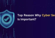 cyber security why is it important