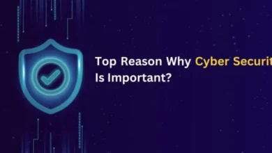 cyber security why is it important
